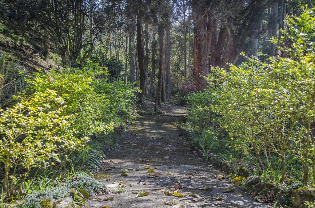 Pousada A Casa Da Fazenda Santo Antônio do Pinhal Zewnętrze zdjęcie